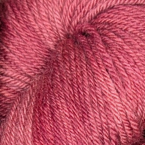 Hot Blooded - Joy DK